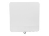 RADWIN 2000-Alpha 5.4GHz MAX-250Mbit-HD 21dBi-ANT link