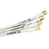 ACCELTEX Antenna Omni WiFi 464RPSP
