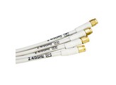 ACCELTEX Antenna Omni WiFi 464RPSP